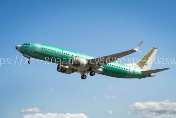 Распечатка посадочного талона