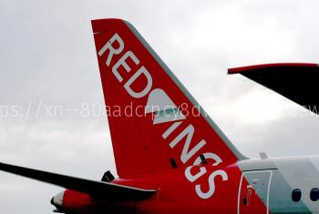 Страховка от Red Wings