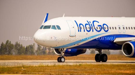 Впервые женщины могут выбрать место в самолетах IndiGo не рядом с мужчиной