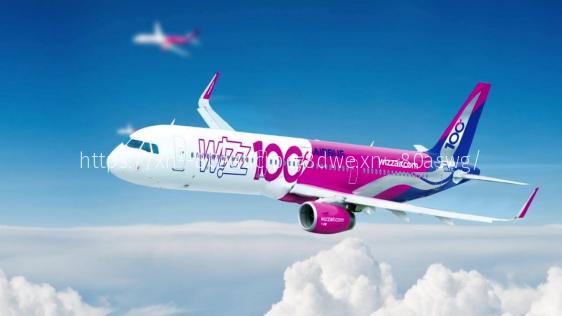 Wizz Air предложил пассажирам купить проездной на международные авиарейсы