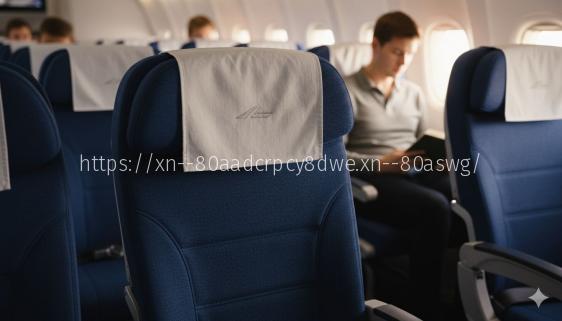 Антимакассары в самолете &ndash; зачем нужны и из чего сделаны